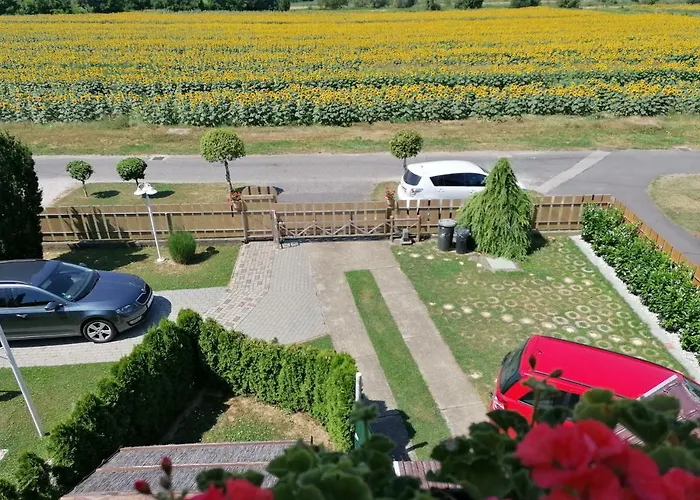 Barbara Haz דירה